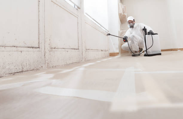 24/7 Emergency Attic Mold Removal experts in Columbia, MD
