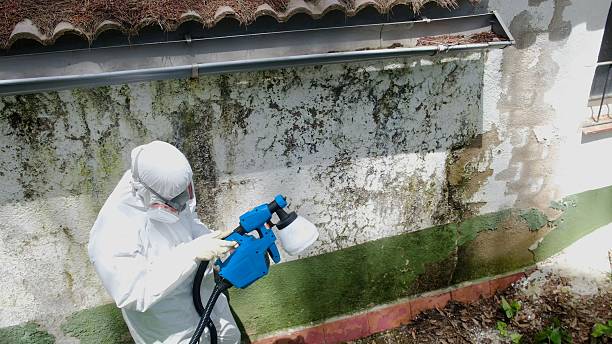Trusted Mold Inspection service in Columbia, MD - Cheap Mold Removal